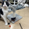 VCA Andover Animal Hospital and Pet Resort gallery