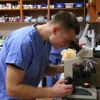 Sheepshead Bay Veterinary Group gallery
