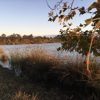 San Joaquin Wildlife Sanctuary gallery