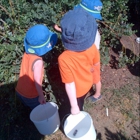 Vanderhelm Farms