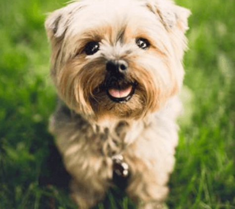 West Queanbeyan Veterinary Hospital - Crestwood, NSW