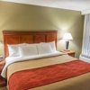 Comfort Inn Opelika - Auburn gallery