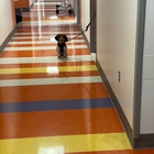 Tristate Bedbug Dogs