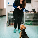 Twin Oaks Veterinary Clinic - Veterinarians