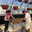 The Picker's Patch - Garden Centers