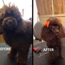 Doggie Doo's Pet Grooming - Pet Grooming