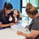 Mermaid Vet Hospital - Veterinarians