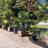 K & A Landscape Supply gallery