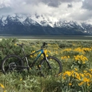 Teton Mountain Bike Tours - Bicycle Shops