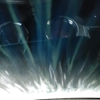 7 Flags Sunrise Express Carwash gallery