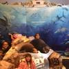 Cinemark Century Blue Oaks Theatres and XD gallery