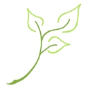 The ENT & Allergy Centers of Texas