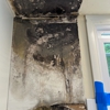 Quality Mold Remediation gallery