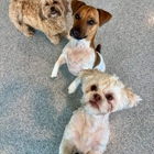 Bayside Pet Resort