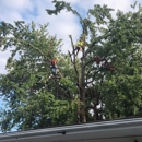 BC Tree Care - Landscape Designers & Consultants
