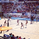 World Series of Beach Volleyball - Sports Instruction