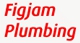 Figjam Plumbing - Plumbers & Gasfitters