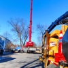 Martel Crane Service & Tree Removal gallery