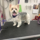 Poochie Bath & Boutique LLC - Pet Services