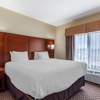 Comfort Inn & Suites Carbondale University Area gallery