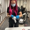 Dallas Dental Assistant School - McKinney gallery