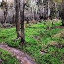 Little Big Econ State Forest - Parks