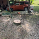 Lance Tree Service