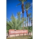 Palm Springs RV Resort