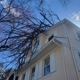 Testerman Tree Service