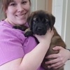 Chateau Dog & Cat Hospital gallery