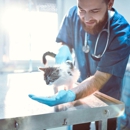Reeder Gwen - Veterinarians