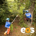 eos Tree Services