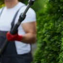 Premier Tree Care - Tree Service