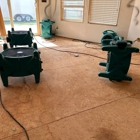 DMV Restoration Services