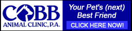 Business Banner