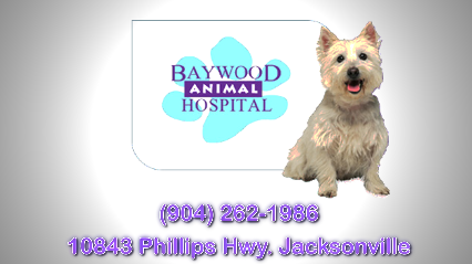 Baywood Animal Hospital