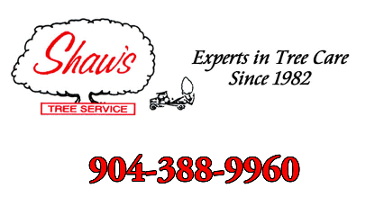 Shaw's Tree Service - Building Specialties